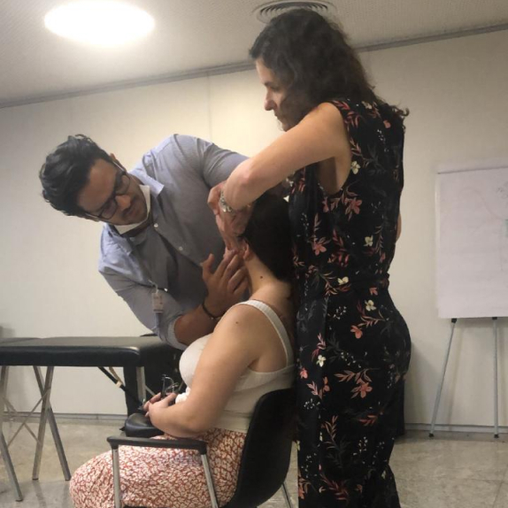 Sobre o INSOE 11